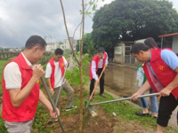 汕尾市科协开展“‘植新绿’‘树先锋’”义务植树主题党日活动