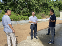 湛江市科协领导到坡头区调研科技人才平台建设工作