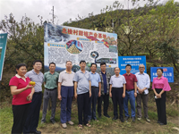 茂名市老科协科技兴果项目调研组深入信宜北梭村调研甜柿引种试验实施情况