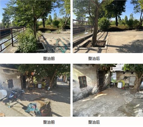 中山市科协、中山科学馆党员干部到民众社区投身“百千万工程”志愿服务