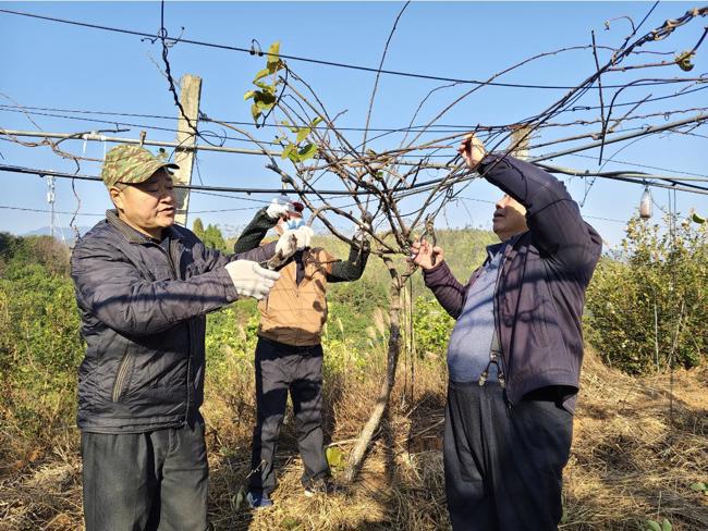 河源市和平县科协组织科技工作者上山下乡送科技服务