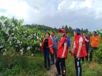 清远市连州市科协组织开展科技下乡志愿服务活动